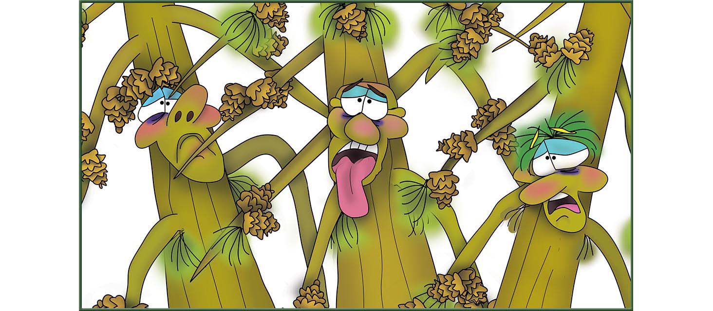 The Three Tree Brothers The Bizzy Buddies Snail's Pace Productions Vuja Day Artist Author Comedy