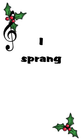 Bizzy Buddies - The Night Before Christmas Vuja Day