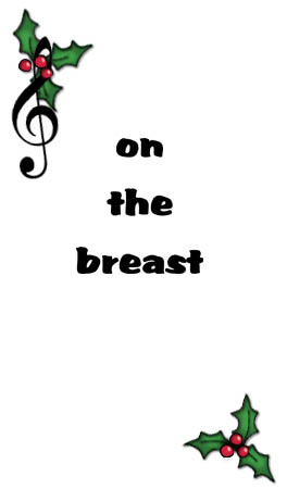 Bizzy Buddies - The Night Before Christmas Vuja Day