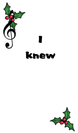 Bizzy Buddies - The Night Before Christmas Vuja Day