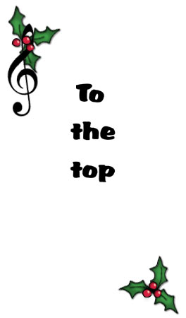 Bizzy Buddies - The Night Before Christmas Vuja Day