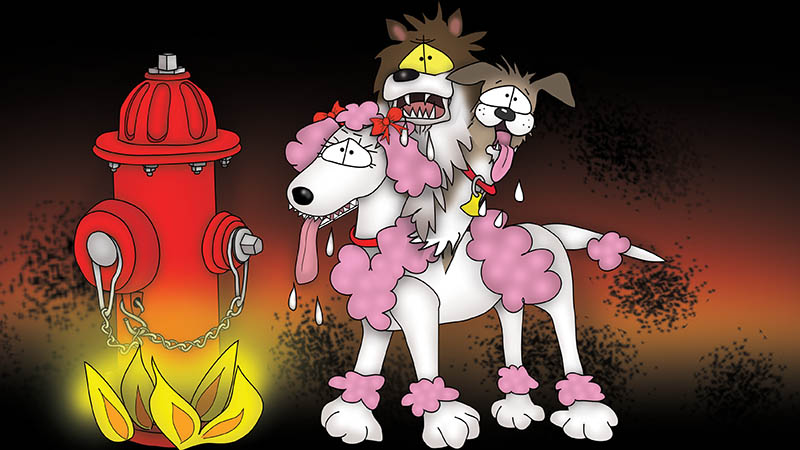 Cerebrus the Three Headed Dog Bizzy Buddies Snail's Pace Productions