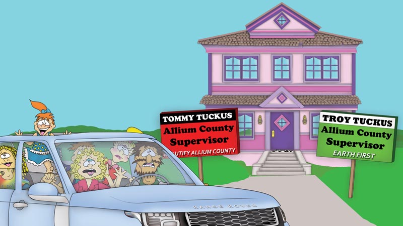 Pleasant Facade Estates The Bizzy Buddies Snail's Pace Productions Vuja Day Artist Author Comedy