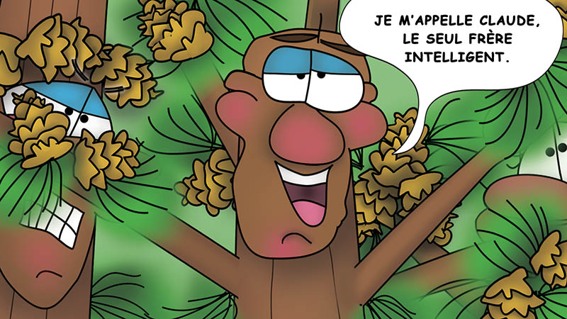 Bizzy Buddies - Les Trois Frères des Arbres Histoire illustree humoristique