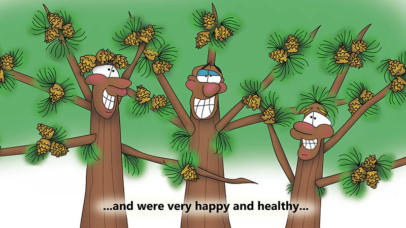 Bizzy Buddies - The Three Tree Brothers - multi lingual childrens stories english french italian spanish german portuguese