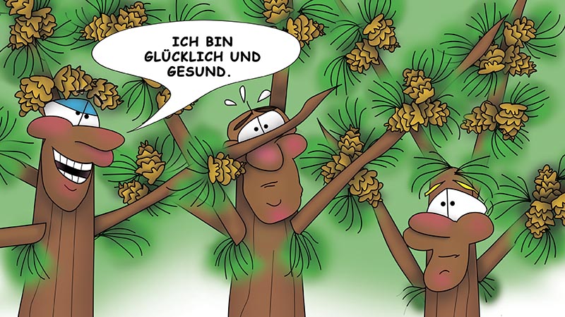Bizzy Buddies - Die Drei Baumbruder humorvolle illustrierte Geschichte