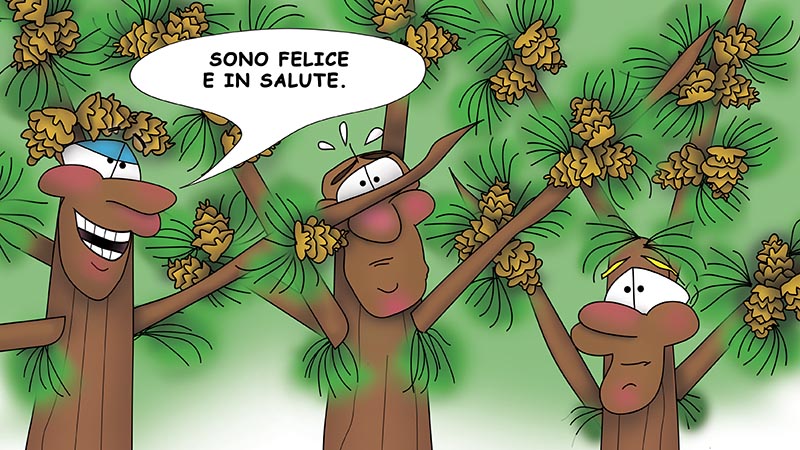 Bizzy Buddies - I Tre Fratelli Dell'Albero - english french italian spanish german