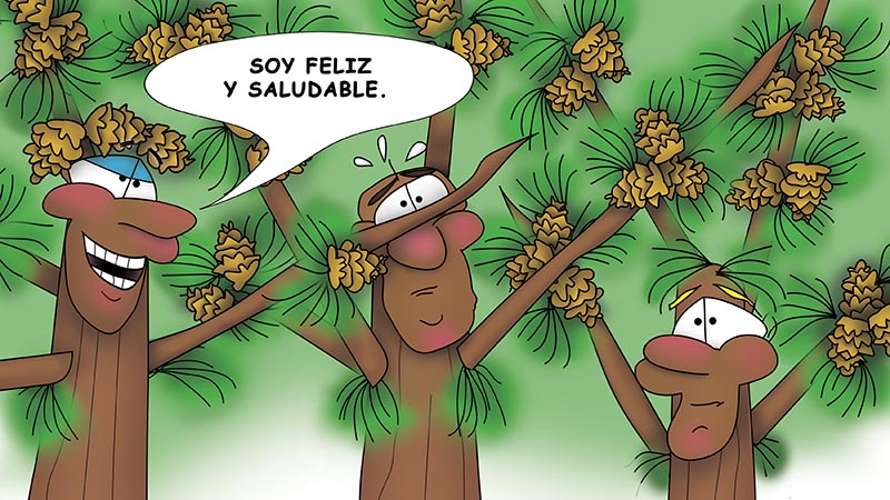 Bizzy Buddies - Los Tres Hermanos Arbol Historia ilustrada humorística