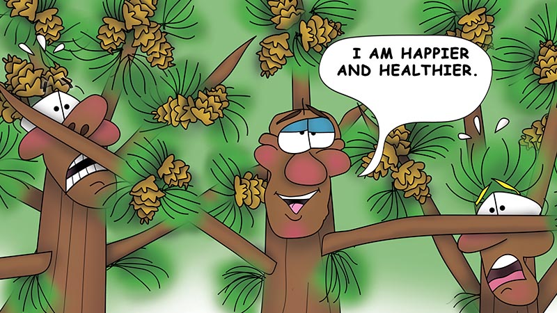 Bizzy Buddies - The Three Tree Brothers - multi lingual childrens stories english french italian spanish german portuguese