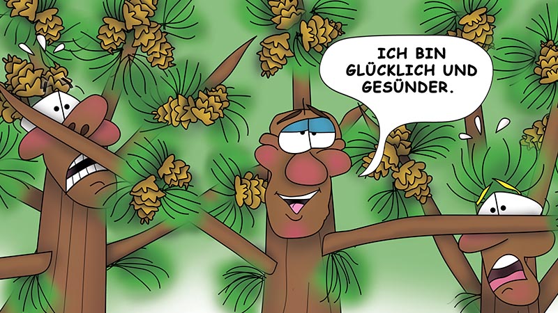 Bizzy Buddies - Die Drei Baumbruder humorvolle illustrierte Geschichte
