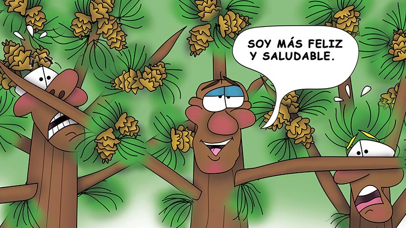 Bizzy Buddies - Los Tres Hermanos Arbol Historia ilustrada humorística