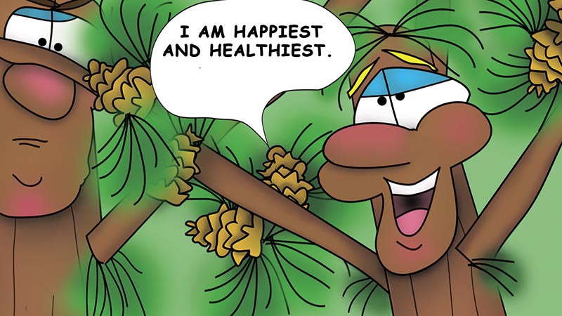 Bizzy Buddies - The Three Tree Brothers - multi lingual childrens stories english french italian spanish german portuguese