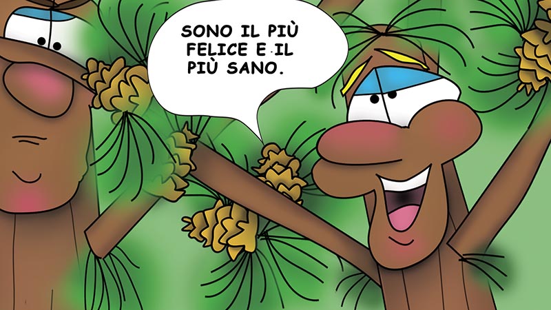 Bizzy Buddies - I Tre Fratelli Dell'Albero - english french italian spanish german