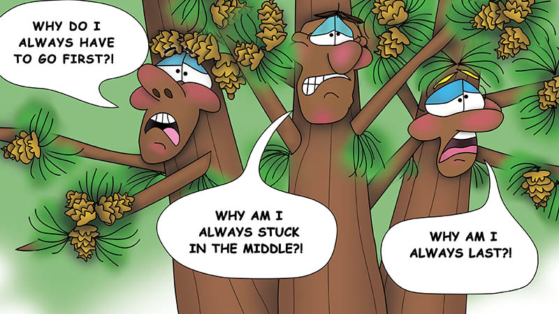 Bizzy Buddies - The Three Tree Brothers - multi lingual childrens stories english french italian spanish german portuguese