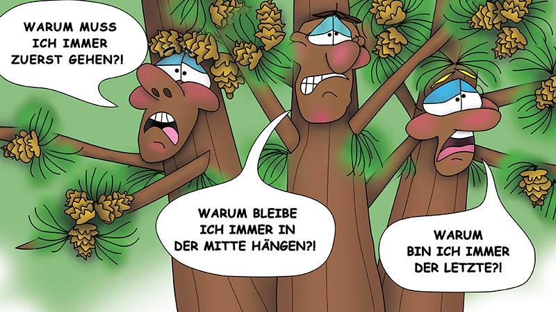Bizzy Buddies - Die Drei Baumbruder humorvolle illustrierte Geschichte