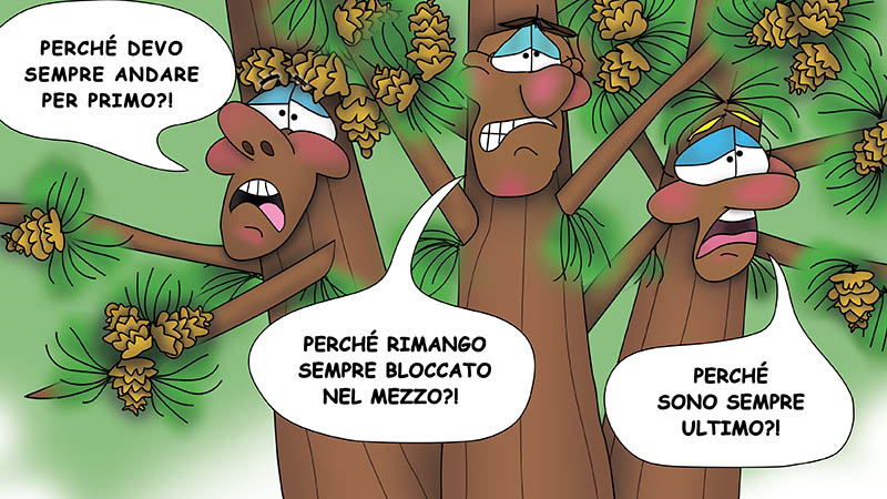 Bizzy Buddies - I Tre Fratelli Dell'Albero - english french italian spanish german