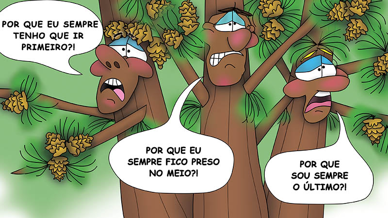 Bizzy Buddies - Os Tres Irmaos da Arvore historia ilustrada bem-humorada
