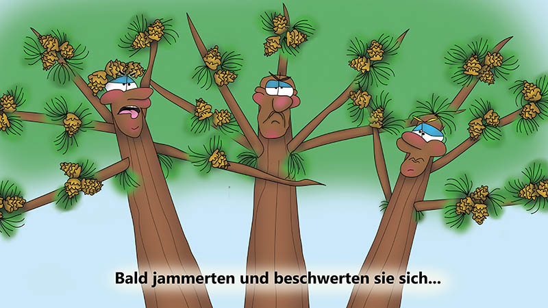 Bizzy Buddies - Die Drei Baumbruder humorvolle illustrierte Geschichte
