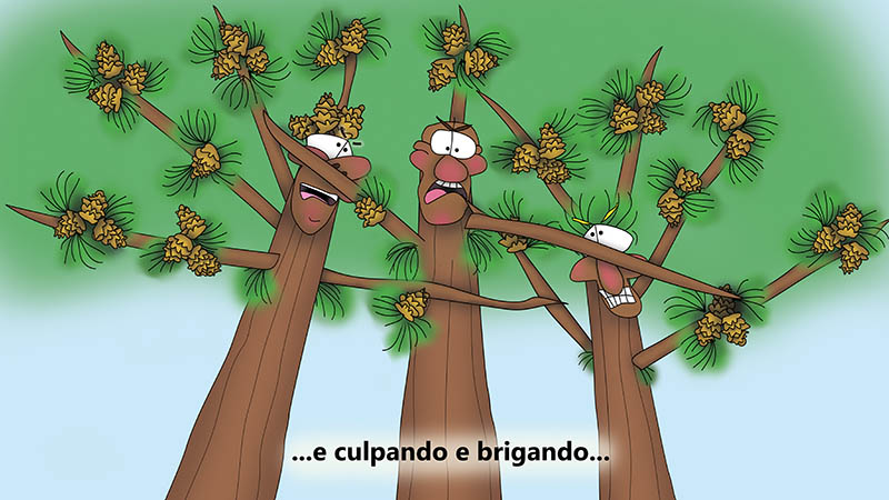 Bizzy Buddies - Os Tres Irmaos da Arvore historia ilustrada bem-humorada