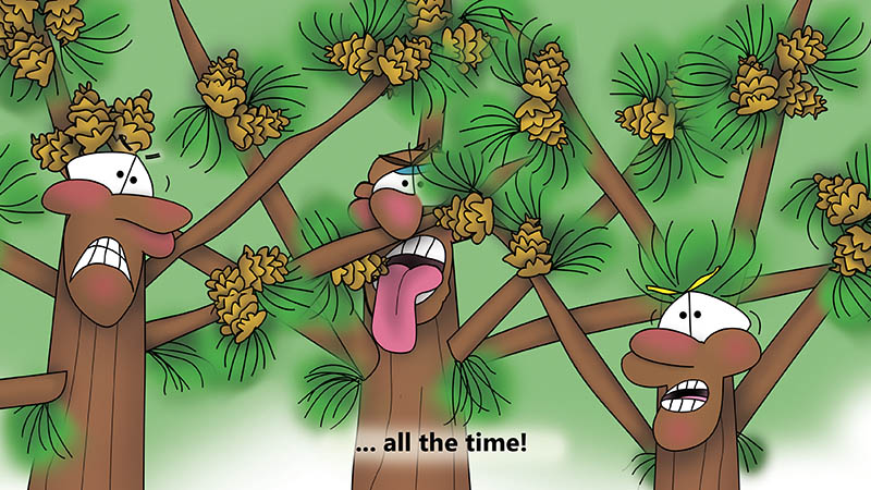 Bizzy Buddies - The Three Tree Brothers - multi lingual childrens stories english french italian spanish german portuguese