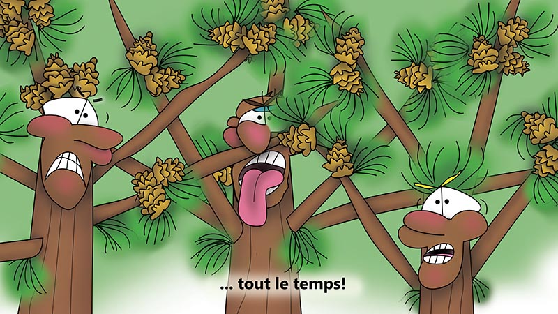 Bizzy Buddies - Les Trois Frères des Arbres Histoire illustree humoristique