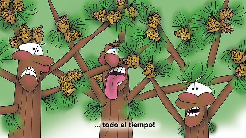 Bizzy Buddies - Los Tres Hermanos Arbol Historia ilustrada humorística