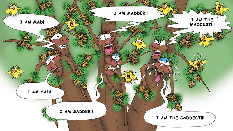 Bizzy Buddies - The Three Tree Brothers - multi lingual childrens stories english french italian spanish german portuguese