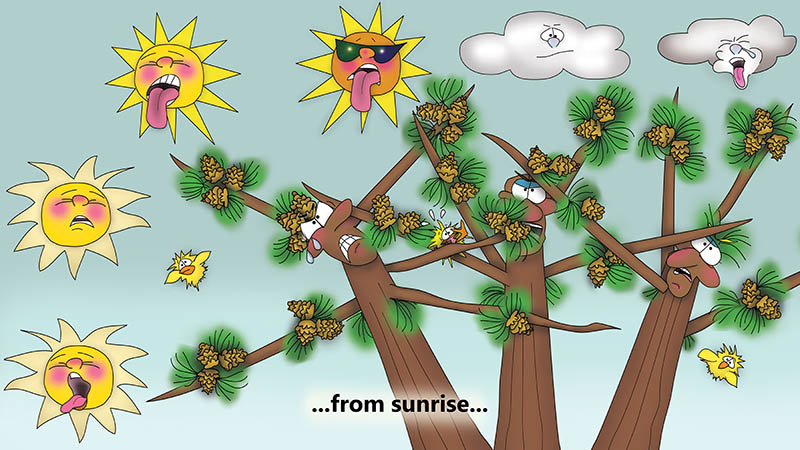 Bizzy Buddies - The Three Tree Brothers - multi lingual childrens stories english french italian spanish german portuguese