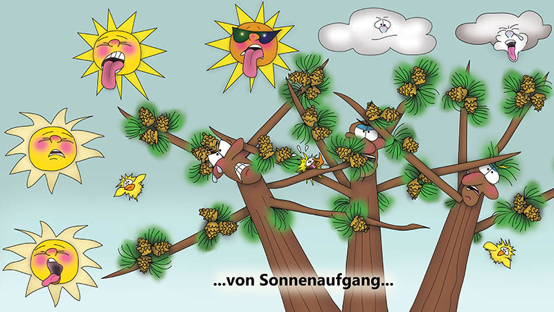 Bizzy Buddies - Die Drei Baumbruder humorvolle illustrierte Geschichte