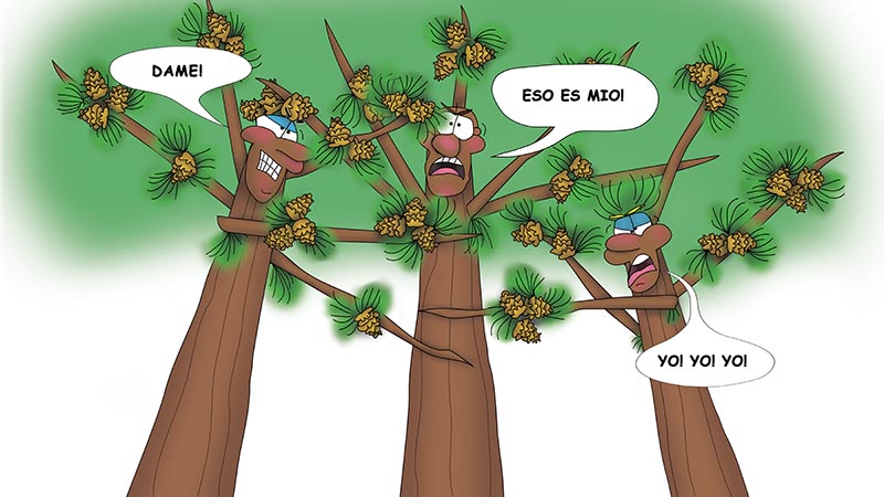 Bizzy Buddies - Los Tres Hermanos Arbol Historia ilustrada humorística