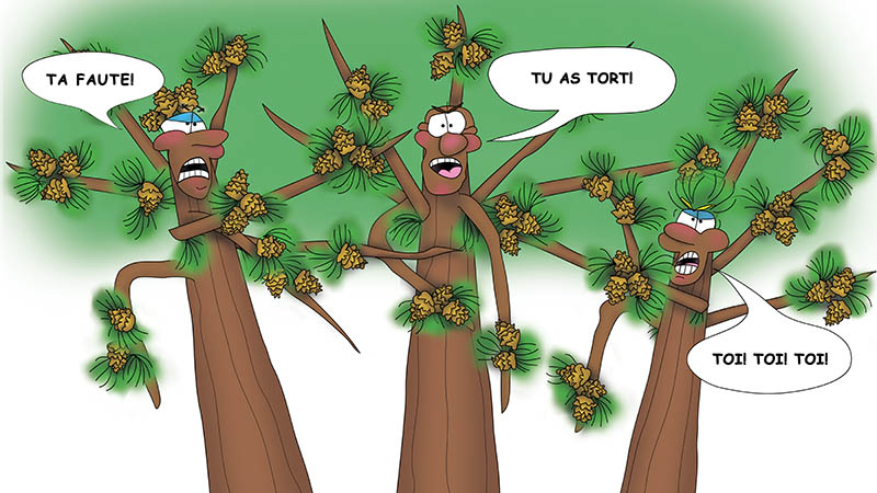 Bizzy Buddies - Les Trois Frères des Arbres Histoire illustree humoristique