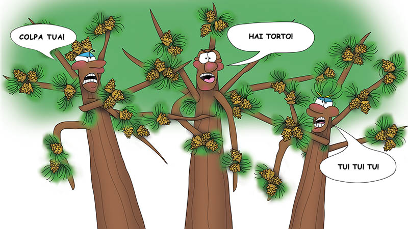 Bizzy Buddies - I Tre Fratelli Albero Storia illustrata umoristica