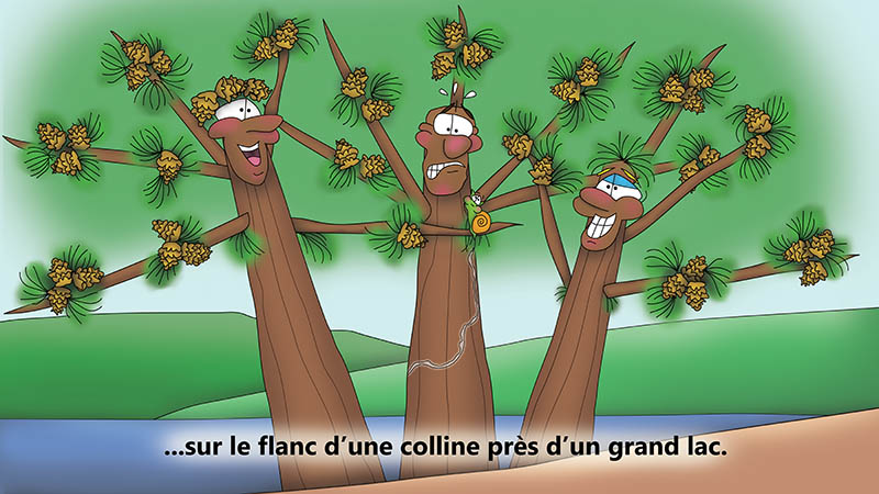 Bizzy Buddies - Les Trois Frères des Arbres Histoire illustree humoristique