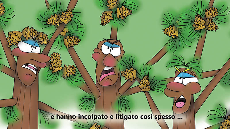 Bizzy Buddies - I Tre Fratelli Albero Storia illustrata umoristica