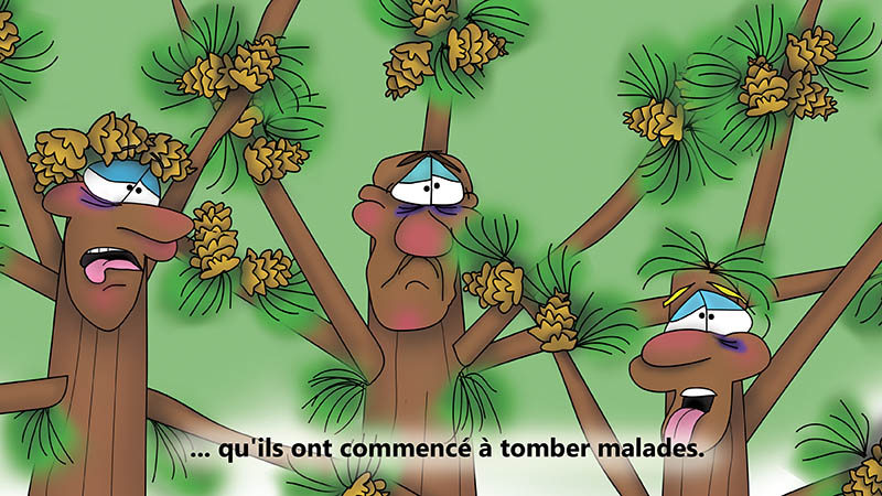 Bizzy Buddies - Les Trois Frères des Arbres Histoire illustree humoristique