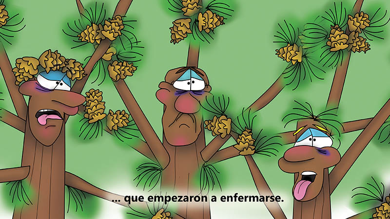 Bizzy Buddies - Los Tres Hermanos Arbol Historia ilustrada humorística
