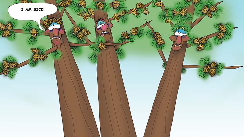 Bizzy Buddies - The Three Tree Brothers - multi lingual childrens stories english french italian spanish german portuguese