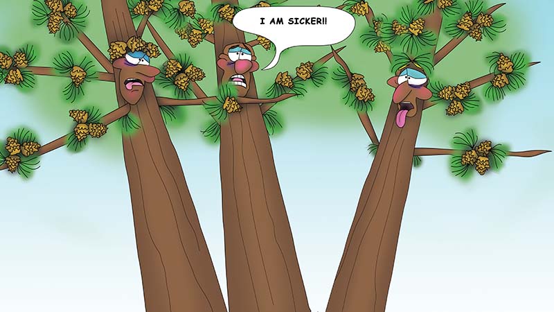 Bizzy Buddies - The Three Tree Brothers - multi lingual childrens stories english french italian spanish german portuguese