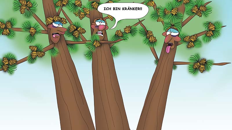 Bizzy Buddies - Die Drei Baumbruder humorvolle illustrierte Geschichte