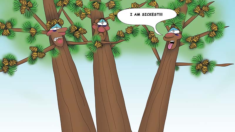 Bizzy Buddies - The Three Tree Brothers - multi lingual childrens stories english french italian spanish german portuguese