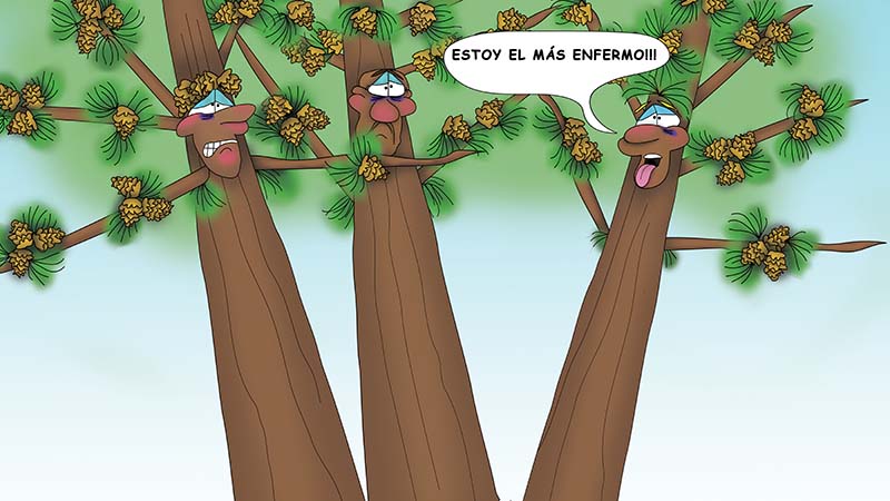 Bizzy Buddies - Los Tres Hermanos Arbol Historia ilustrada humorística
