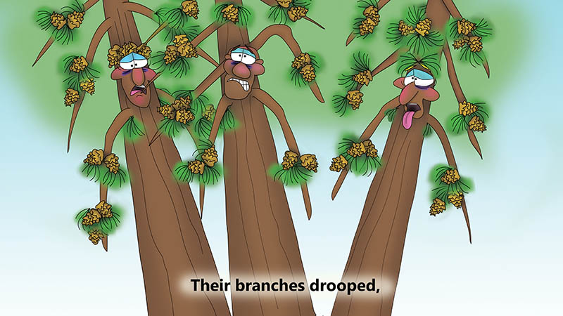 Bizzy Buddies - The Three Tree Brothers - multi lingual childrens stories english french italian spanish german portuguese