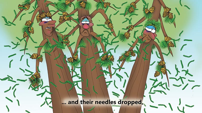 Bizzy Buddies - The Three Tree Brothers - multi lingual childrens stories english french italian spanish german portuguese