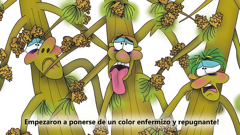 Bizzy Buddies - Los Tres Hermanos Arbol Historia ilustrada humorística