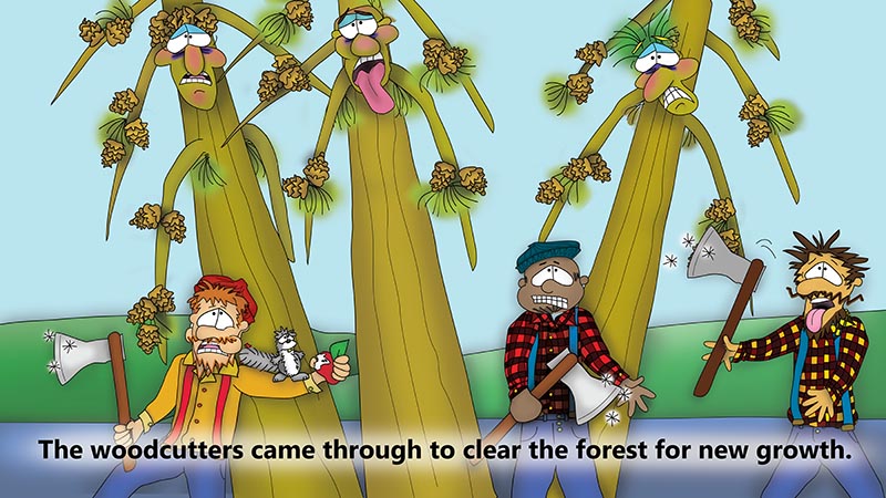 Bizzy Buddies - The Three Tree Brothers - multi lingual childrens stories english french italian spanish german portuguese