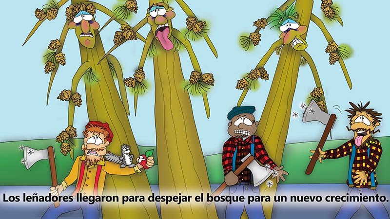 Bizzy Buddies - Los Tres Hermanos Arbol Historia ilustrada humorística