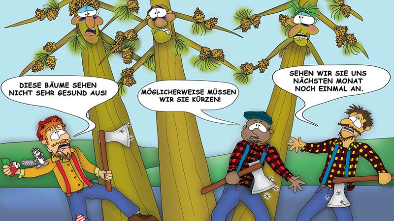 Bizzy Buddies - Die Drei Baumbruder humorvolle illustrierte Geschichte