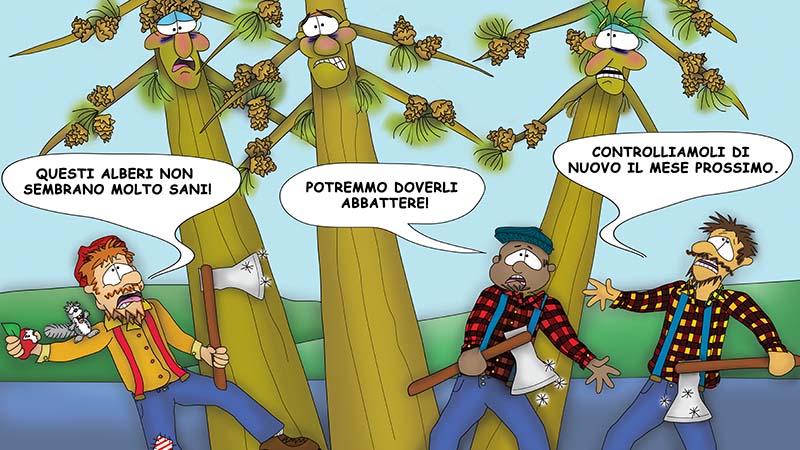 Bizzy Buddies - I Tre Fratelli Albero Storia illustrata umoristica