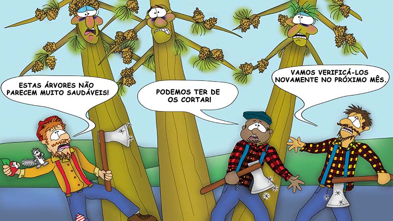 The Bizzy Buddies - Os Tres Irmaos da Arvore historia ilustrada bem-humorada