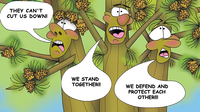 Bizzy Buddies - The Three Tree Brothers - multi lingual childrens stories english french italian spanish german portuguese